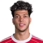 إمام أبديلغاني